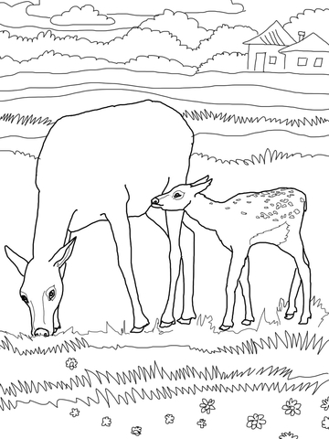 Mother And Baby Elk Coloring Page